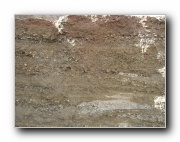 Click to enlarge this image